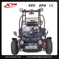 Erwachsene chinesische Hersteller Berg Gas Offroad Strandbuggy